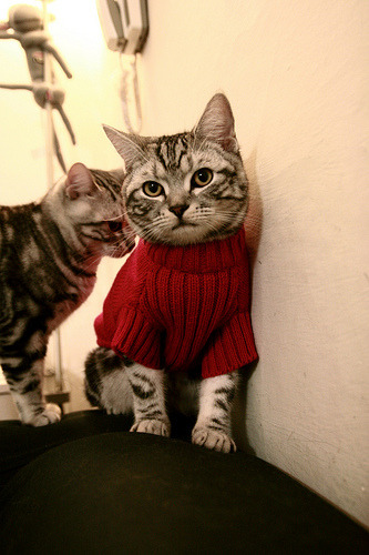 广场舞活动受到媒体广泛报道，广场舞活动受到媒体广泛报道的影响