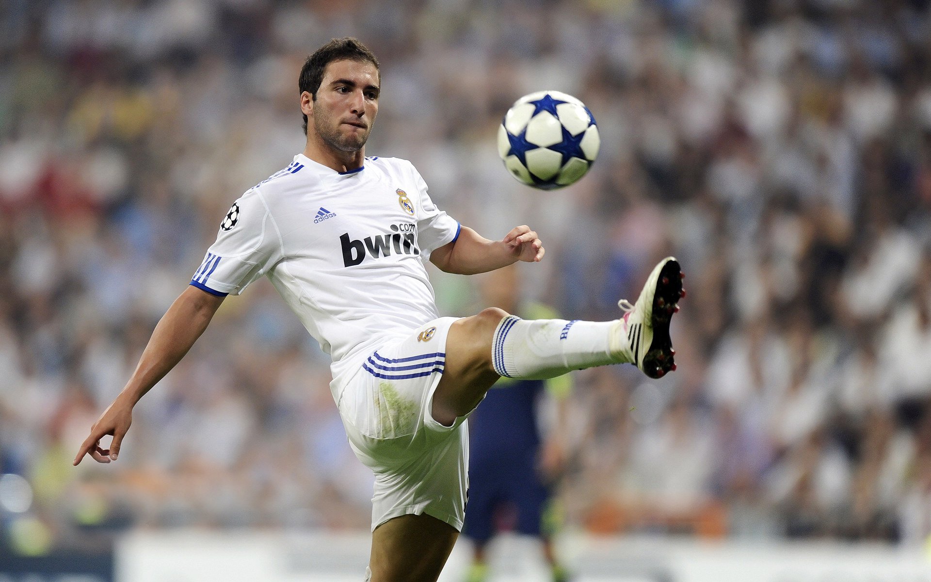 斯密斯：全黑队的“快节奏指挥官”，引领攻势如风