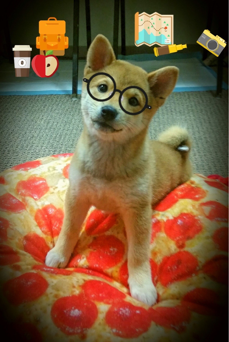 开云体育网页入口-_篮网核心发威，助队稳住局势_，篮网组合