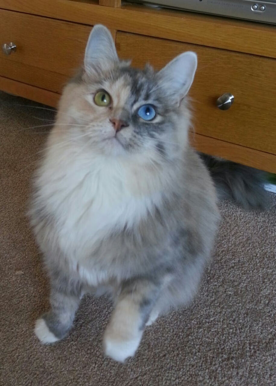 “弯道飞旋：漂移舞者的极致展演”，弯道漂移什么意思