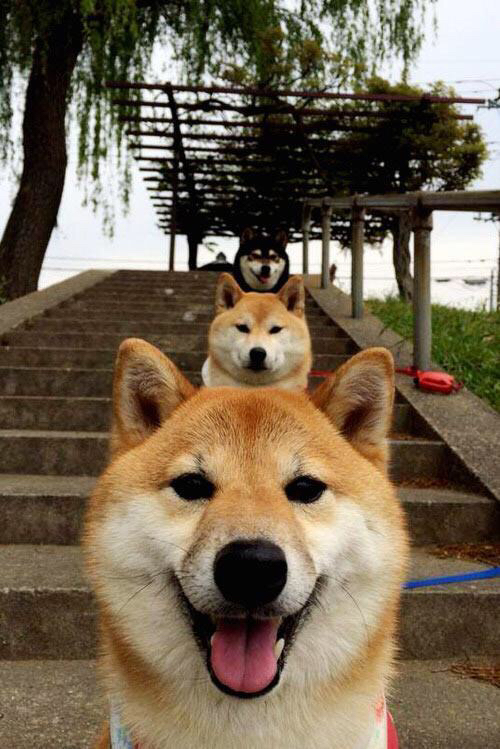 开云·Kaiyun网页版-“绝杀三分：联盟史上最经典的终极投篮”，nba绝杀三分