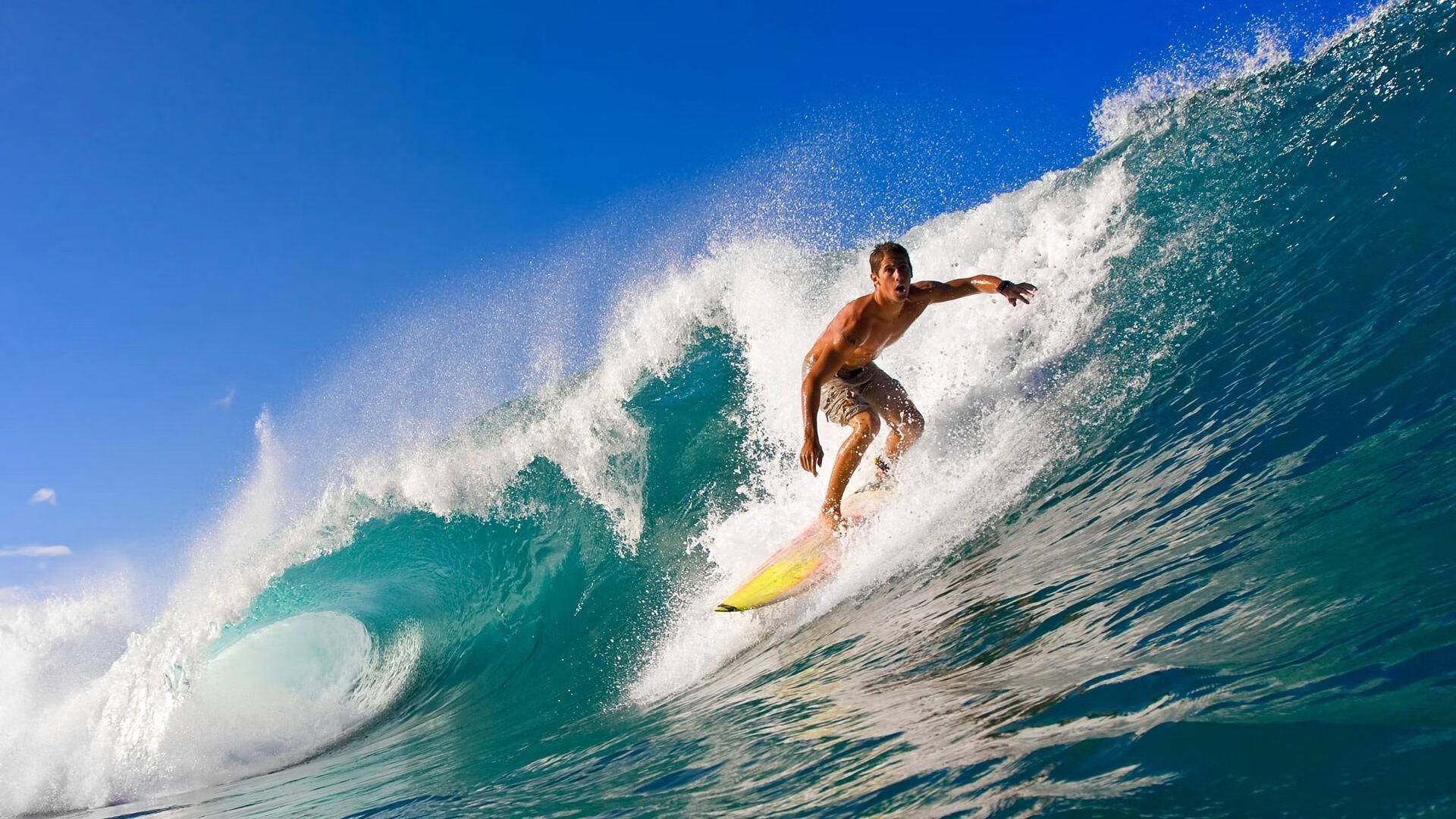 开云 官网 入口-帕利斯特突破极限迎接新挑战，帕里斯特利那